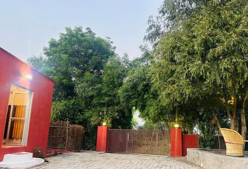 غرفة قياسية, Pritampalace Resort