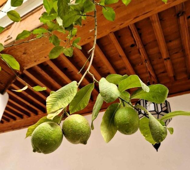 اتاق استاندارد, Riad Samah