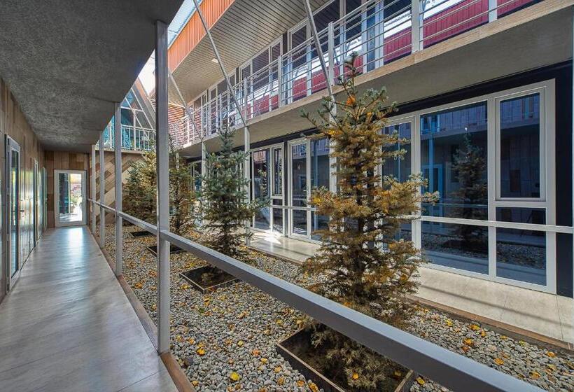 اتاق اکونومی, иксаотель