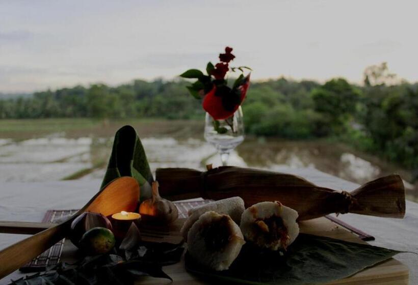 带1个卧室带观景的公寓, Greenpath At Airport Reach