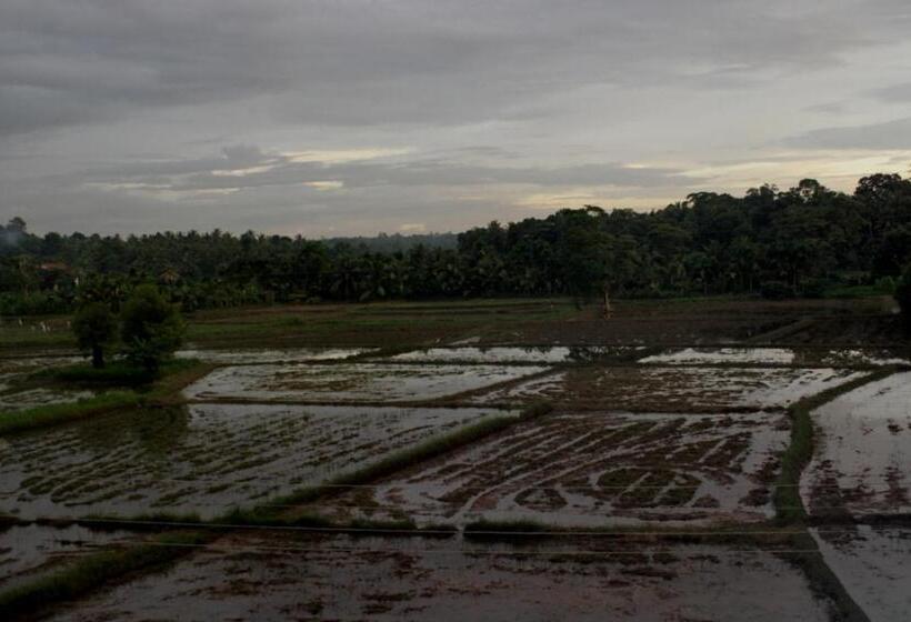 带1个卧室带观景的公寓, Greenpath At Airport Reach