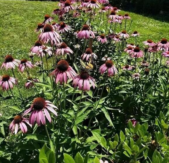 Номер Стандарт, Room In House Charming Private Room Complete4