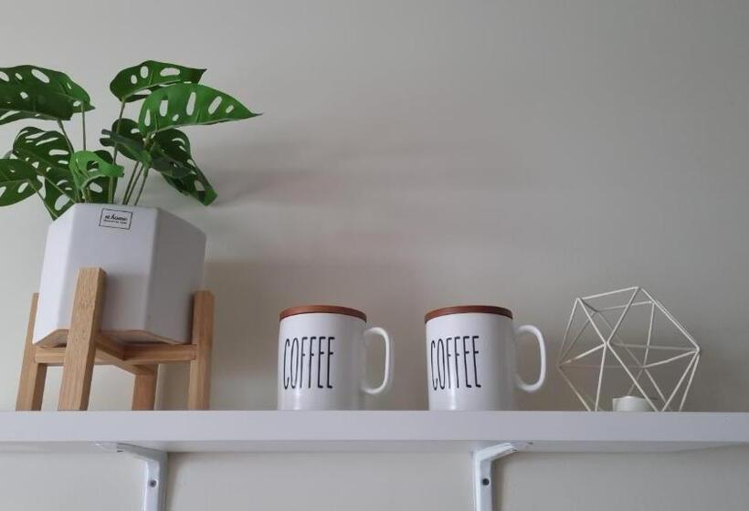 استودیوی استاندارد, Studio Type Condo Iloilo Saint Honore