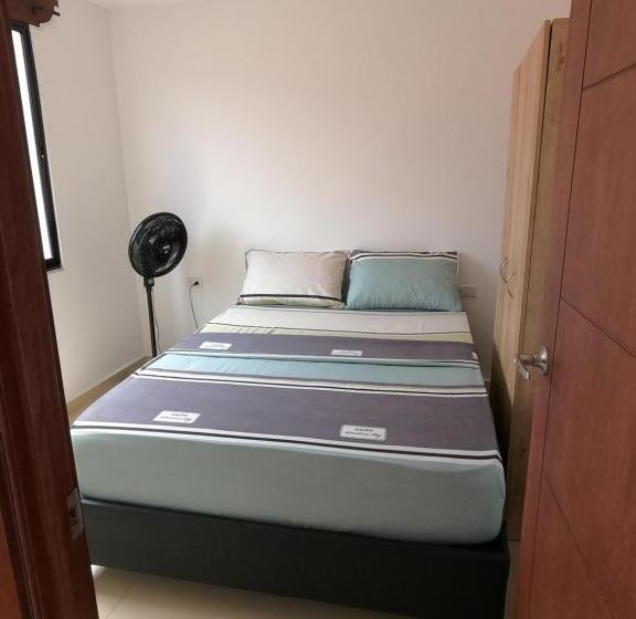 スタンダードスタジオ, Colonial