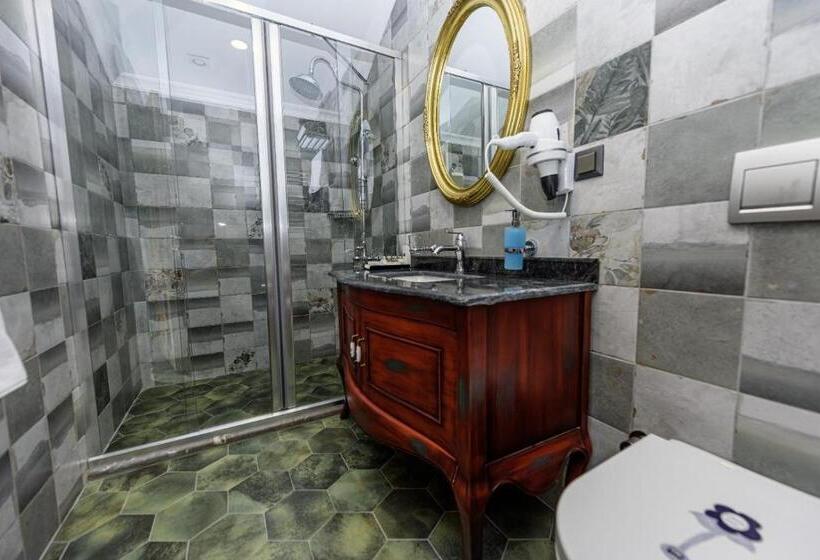 اتاق استاندارد, Tok Epi̇k