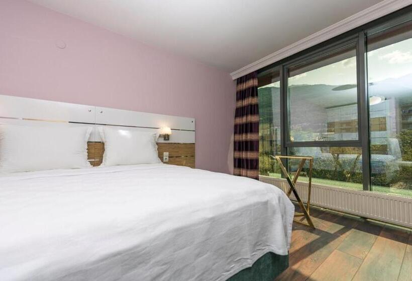 اتاق استاندارد, Tok Epi̇k