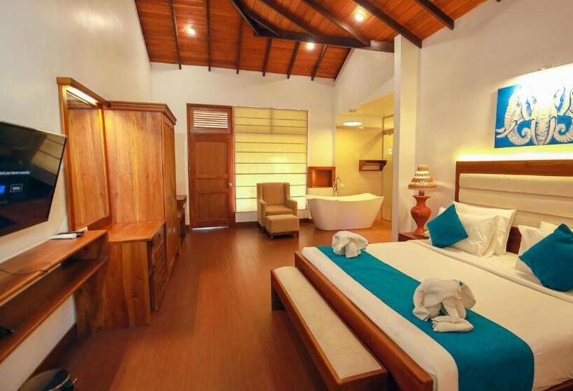 デラックススイート, Wisdom Boutique Resort