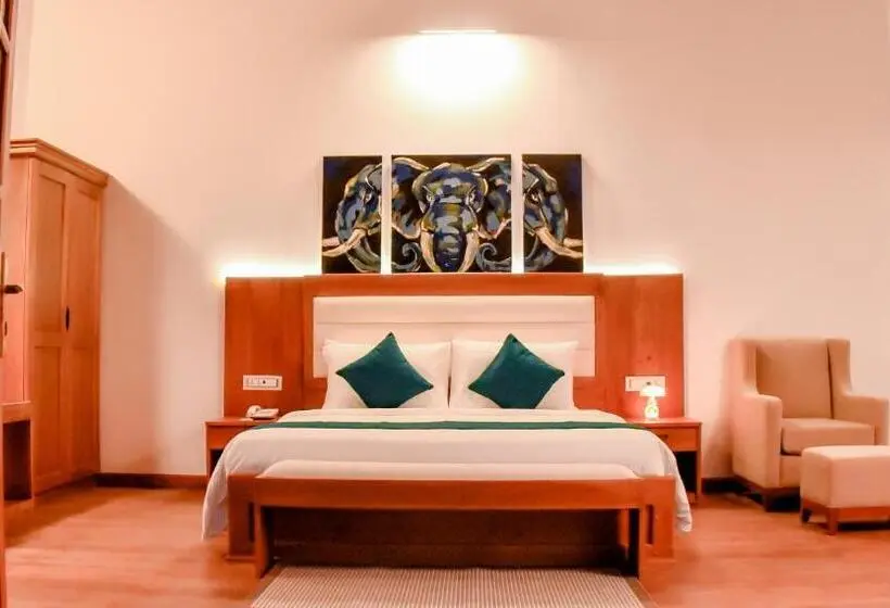 スーペリアースイート, Wisdom Boutique Resort