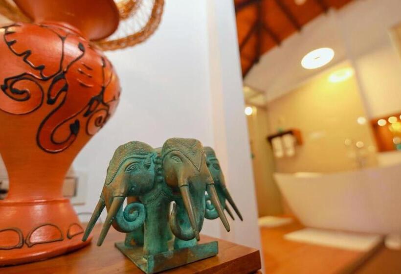 Люкс Повышенной Комфортности, Wisdom Boutique Resort