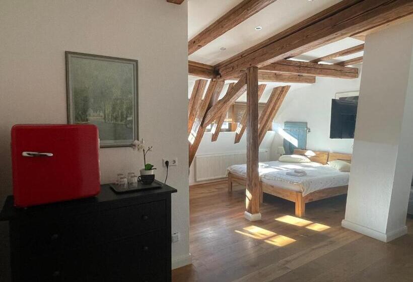 Deluxe room with river view, Gästezimmer An Der Stadtmauer