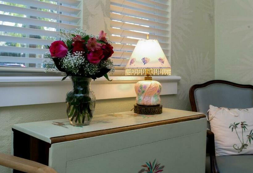 جناح ديلوكس, Anchor Inn Nsb Bed And Breakfast