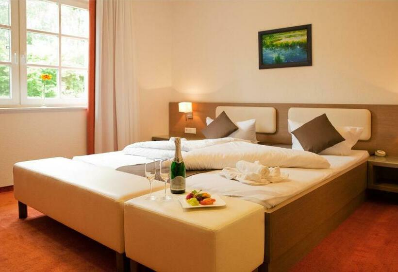 Номер Стандарт, Anlage Starick