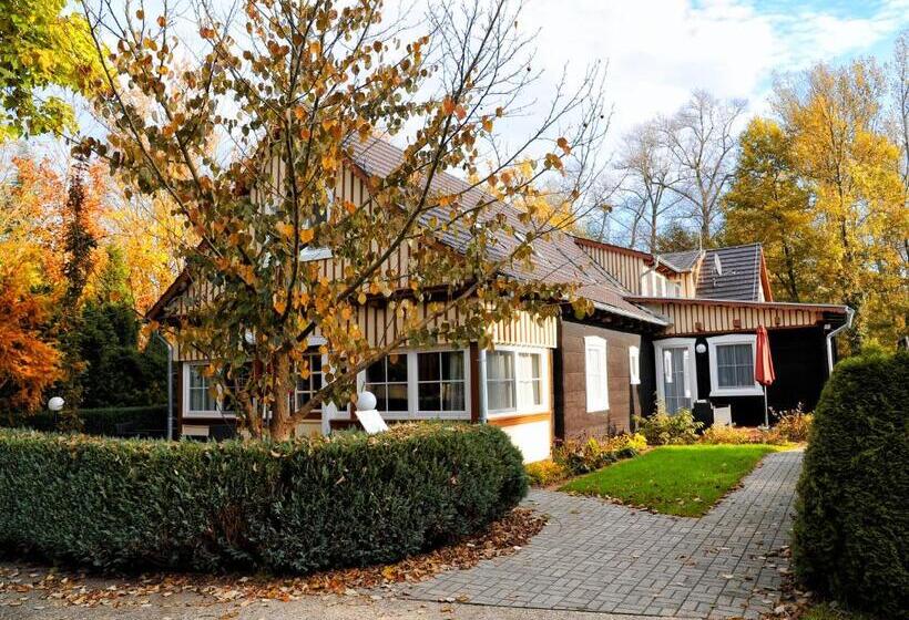 Номер Deluxe, Anlage Starick