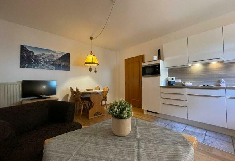 דירה בת חדר שינה 1 עם מרפסת, Appartements Diana