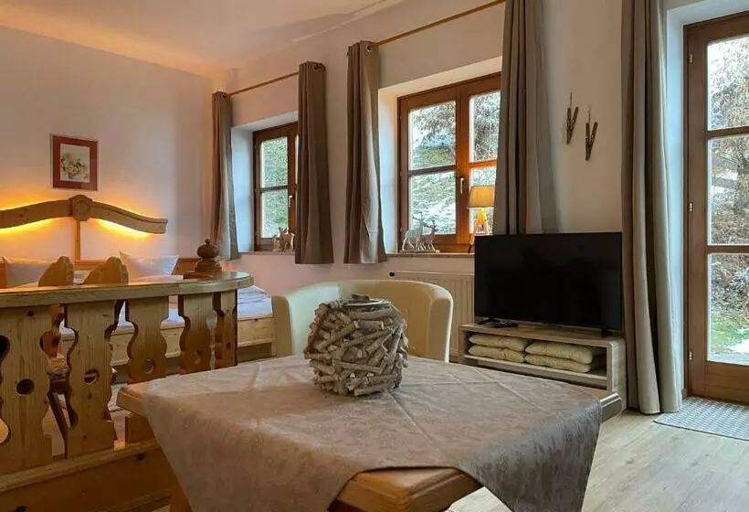 １ベッドルームのスーペリアアパートメント, Appartements Diana