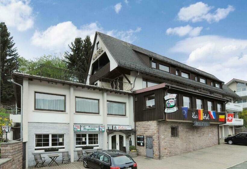 غرفة قياسية فردية, Bellevue