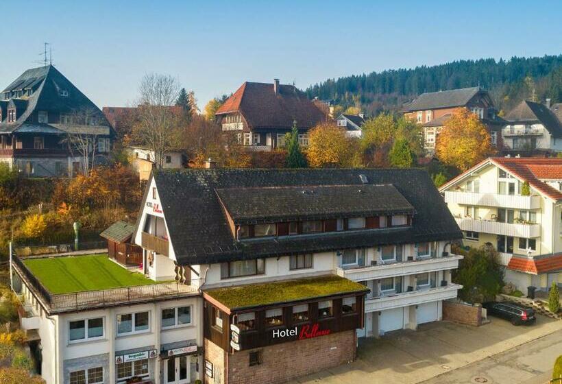 غرفة قياسية فردية, Bellevue