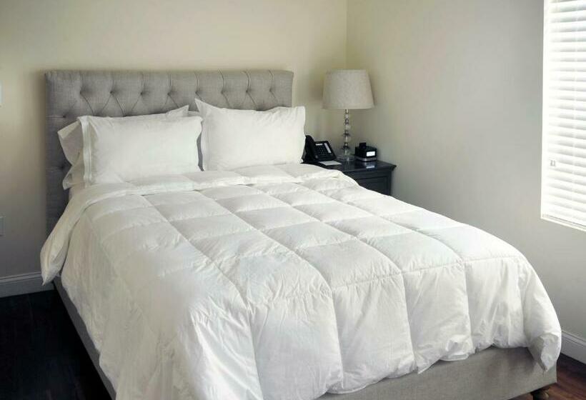 스탠다드 스튜디오, Bricco Suites