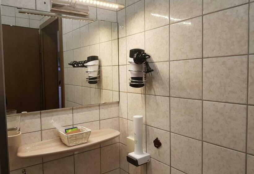 バルコニー付きシングルスタンダードルーム, Der Blankhof Back To Roots