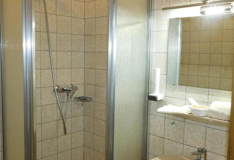 スタンダードシングルルーム, Der Blankhof Back To Roots