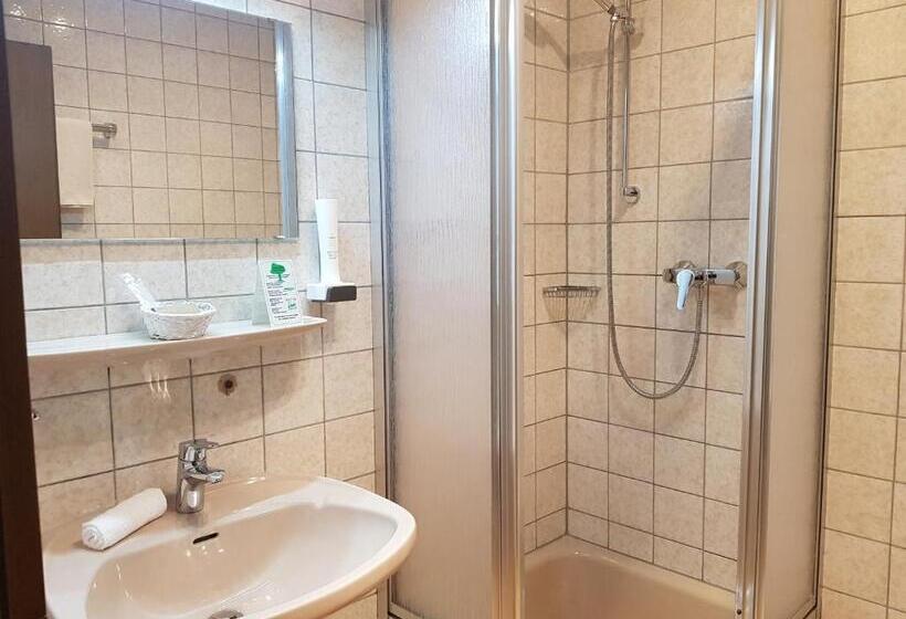 スタンダードシングルルーム, Der Blankhof Back To Roots