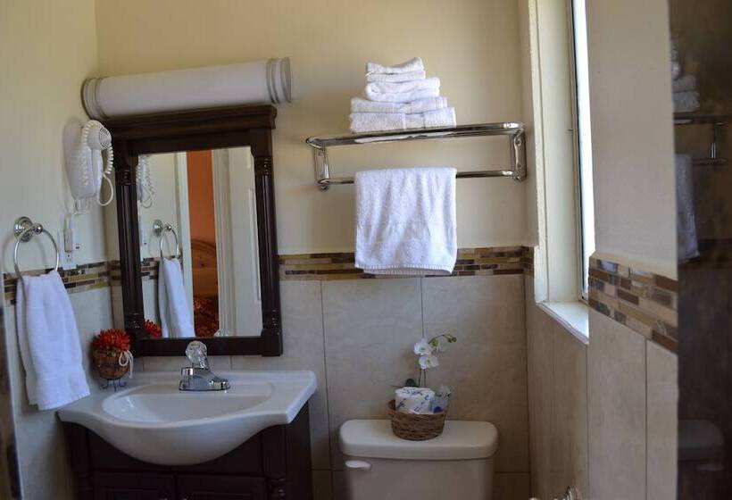 غرفه قياسيه سريرين مزدوجين, El Rancho Dolores At Jt National Park