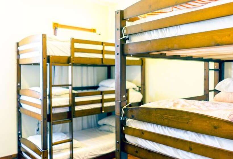 Кровать в Общей Комнате, International Travelers House Adventure Hostel