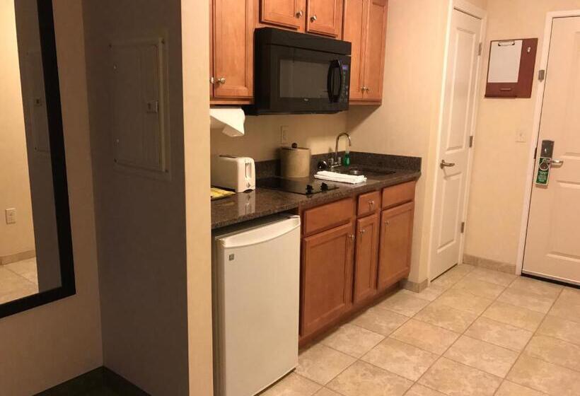 استودیو استاندارد با تخت کینگ, White River Inn & Suites