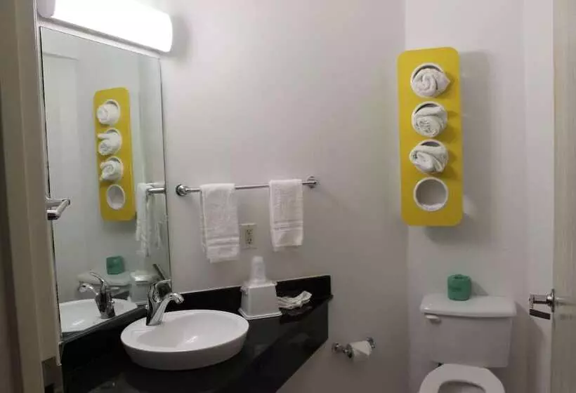 デラックスルーム, Motel 6 Terrell, Tx