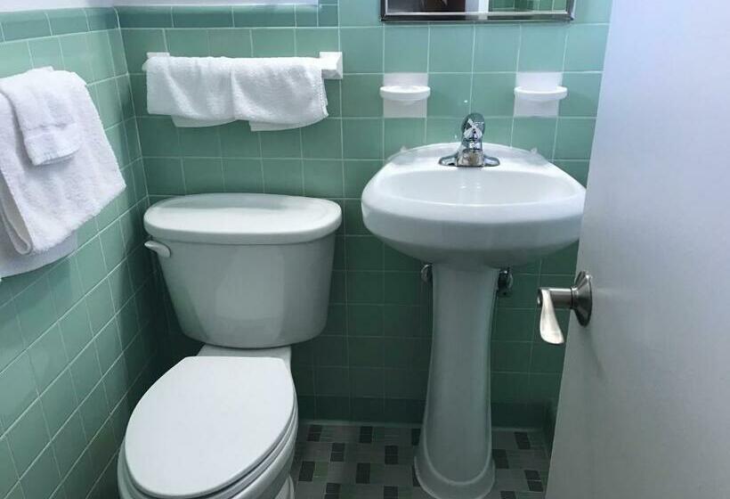 غرفة قياسية سرير كينج, Silver Princess Motel