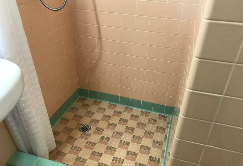 غرفة قياسية, Silver Princess Motel