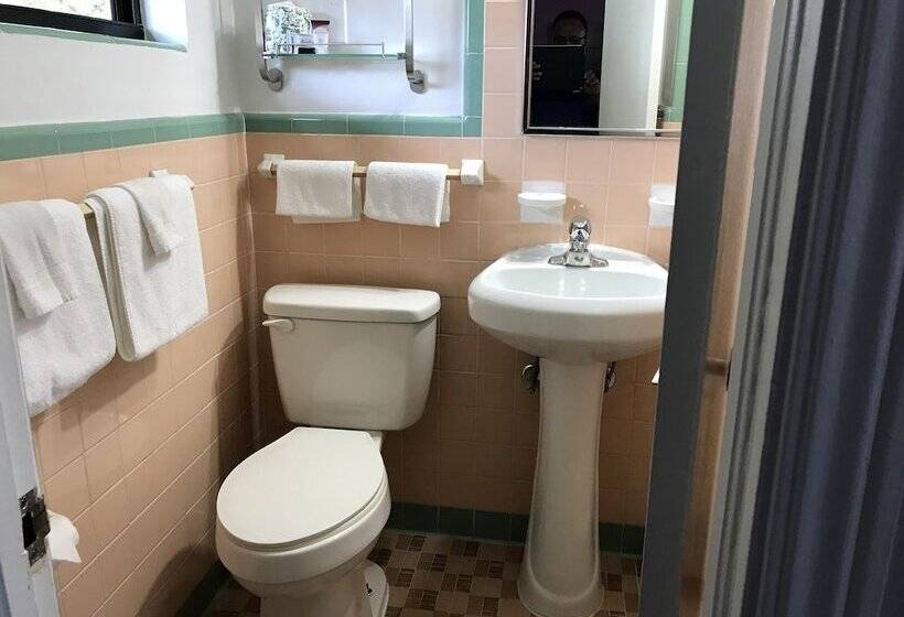 غرفة قياسية سرير كينج, Silver Princess Motel