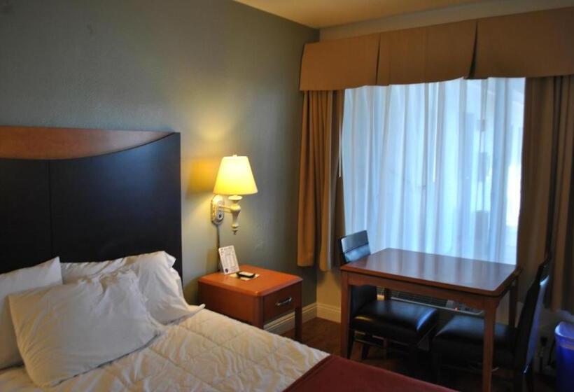 Family Suite, Sunset Motel