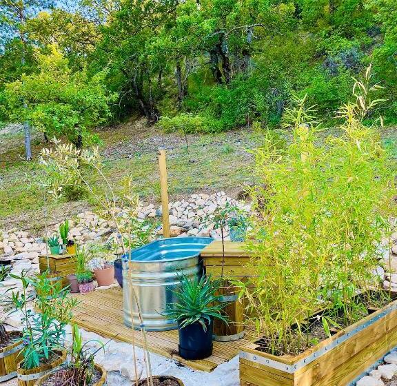 スタンダードルーム, Histoire De Cru