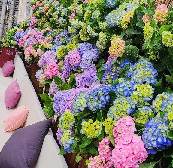 Quarto clássico, 北京悦明元星空白塔景观四合院民宿