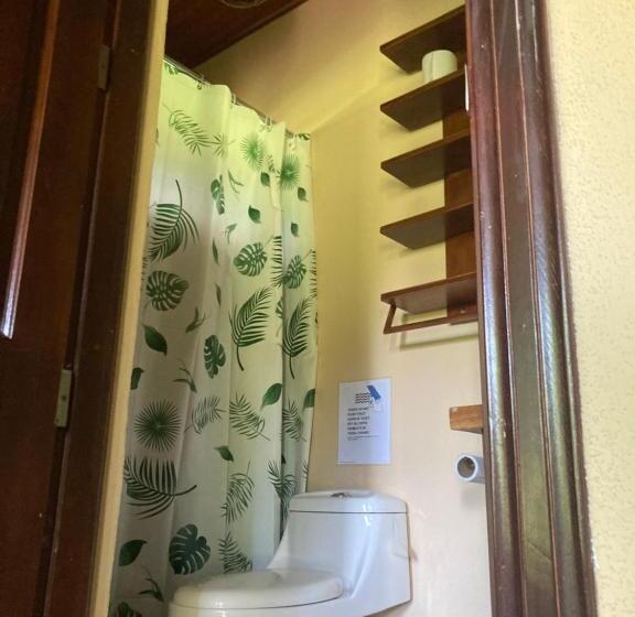 اتاق استاندارد چهارنفره با چشمانداز باغ, Java Jungle