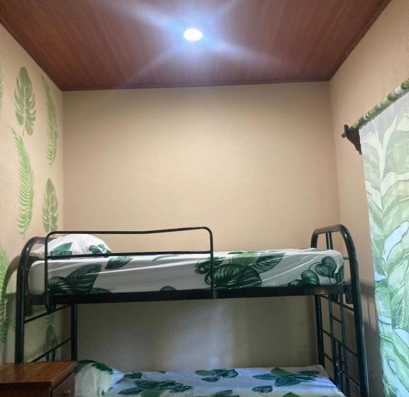 اتاق استاندارد چهارنفره با چشمانداز باغ, Java Jungle