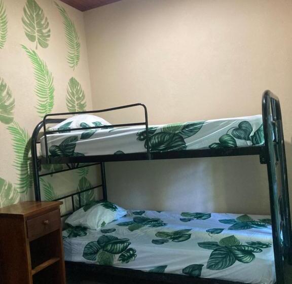 اتاق استاندارد چهارنفره با چشمانداز باغ, Java Jungle