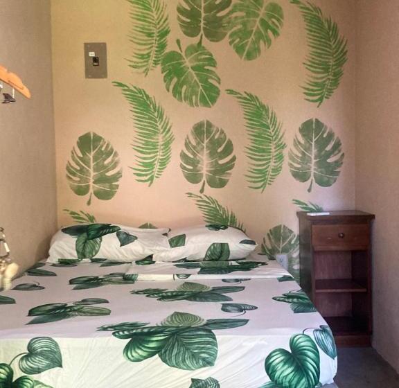 اتاق استاندارد چهارنفره با چشمانداز باغ, Java Jungle