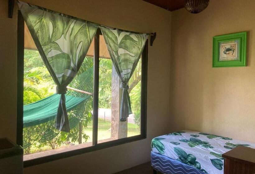 اتاق استاندارد, Java Jungle