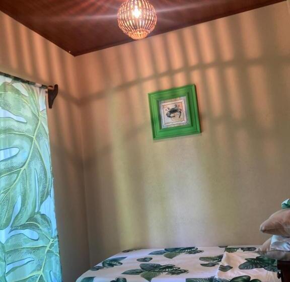 اتاق استاندارد, Java Jungle