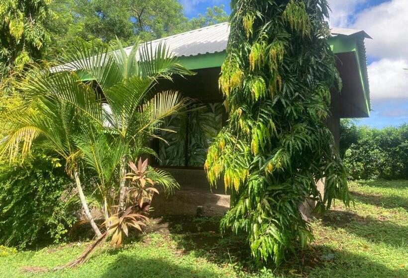 اتاق استاندارد, Java Jungle