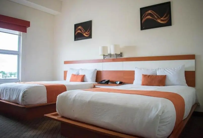 اتاق استاندارد, Los Herederos Hotel Piedras Negras