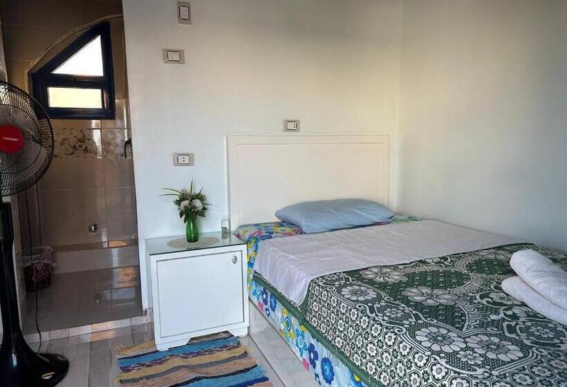 标准单人间, Mastonkel