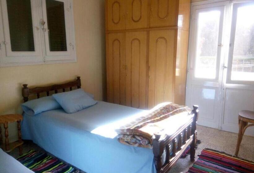 标准间带阳台, Mastonkel