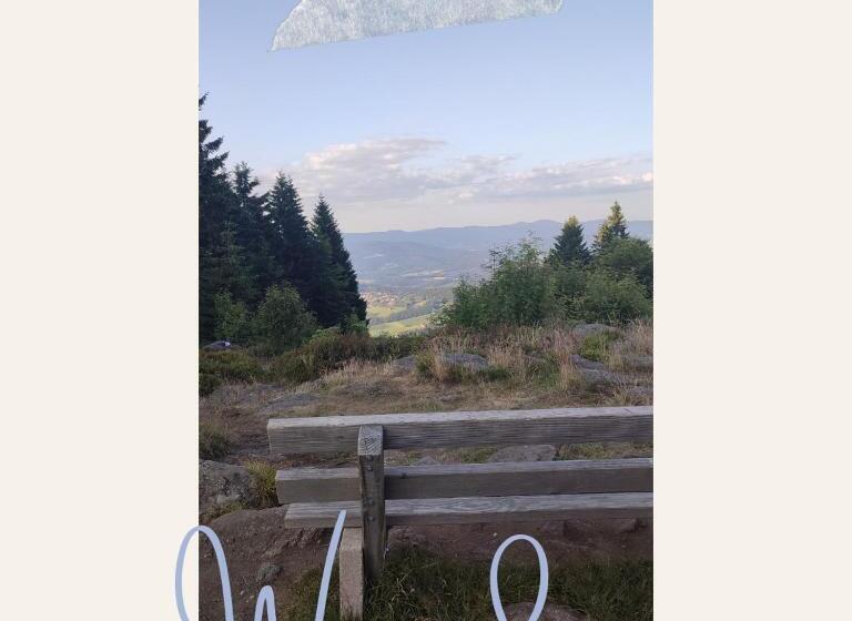 テラス付き１ベッドルームアパートメント, Stressless Aktivcard Bayerischer Wald Inklusive