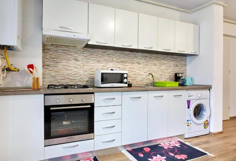 带1个卧室的带阳台的公寓, Apartament Mystic Promenada