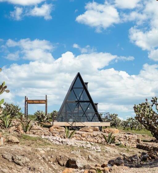 חדר סטנדרט, Coyote