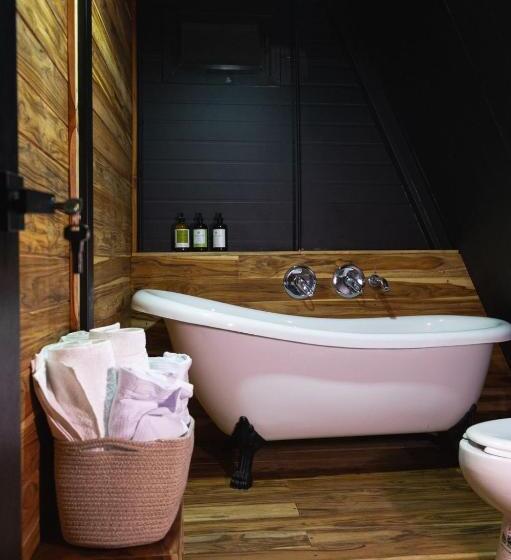 חדר סטנדרט, Coyote