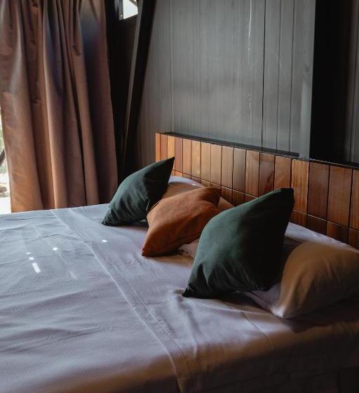 חדר דלוקס, Coyote